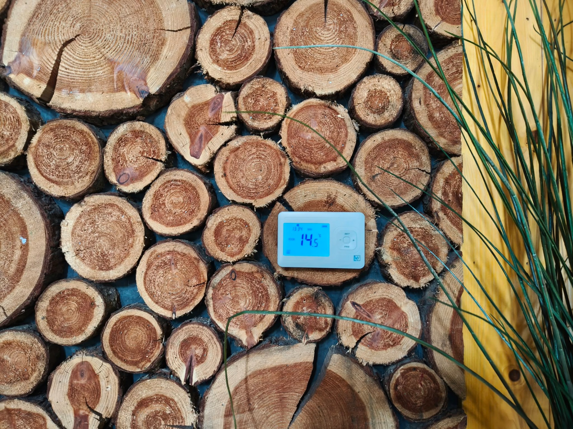 Houten boomstamschijven met jaarringen, blauwe thermometer toont 14,5°C, groen gras en gele plank rechts.